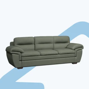 Modern Living Room Sofa